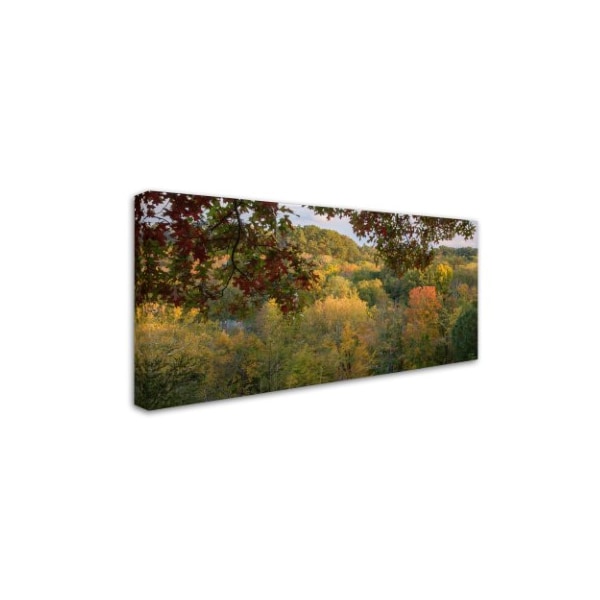 Kurt Shaffer 'Late Afternoon October Color' Canvas Art,10x19